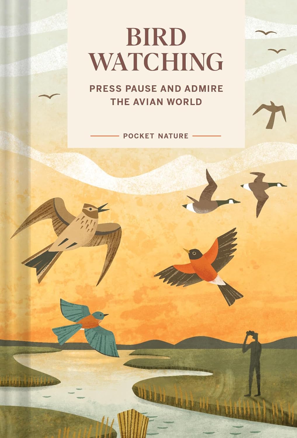 Bird-Watching: Press Pause and Admire the Avian World