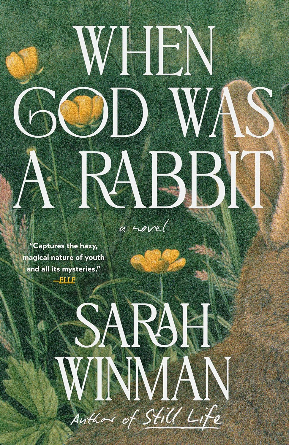 When God Was a Rabbit