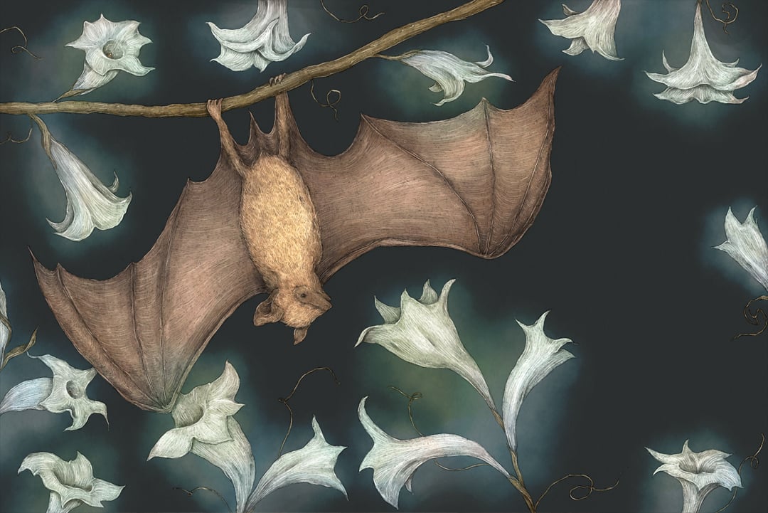 Jessica Roux: Moonflower Bat Print