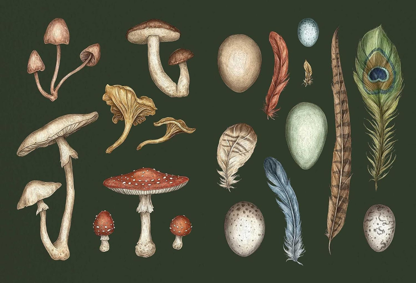 The Collector's Curio: A Sticker Treasury