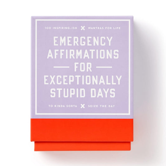 Emergency Affirmations for Exceptionally Stupid Day