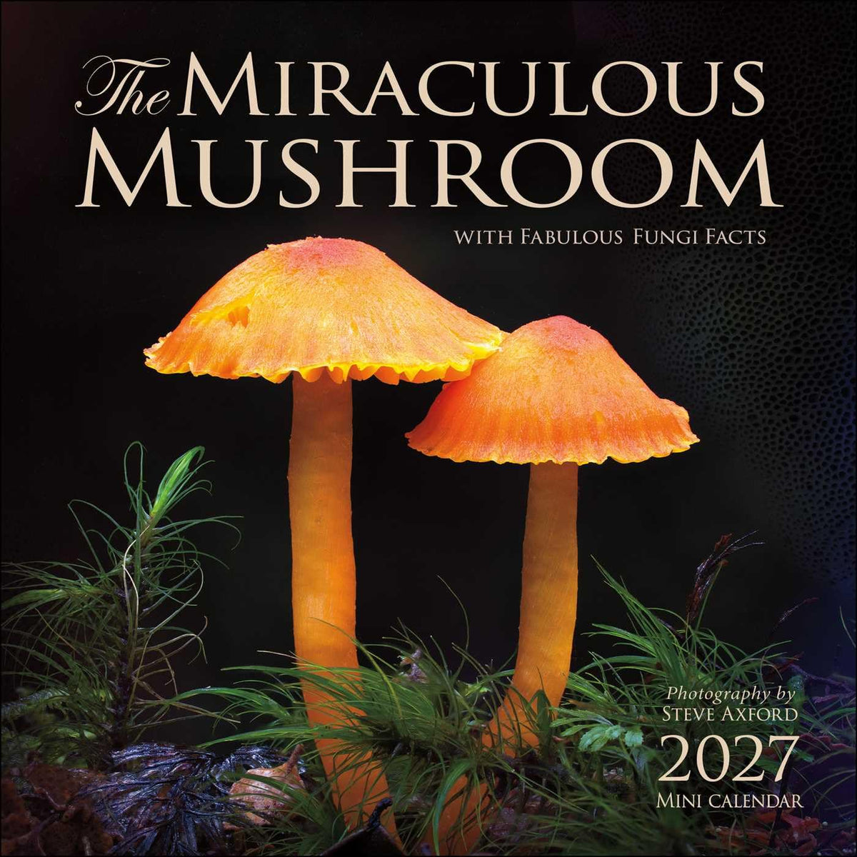 The Miraculous Mushroom 2027 Mini Wall Calendar