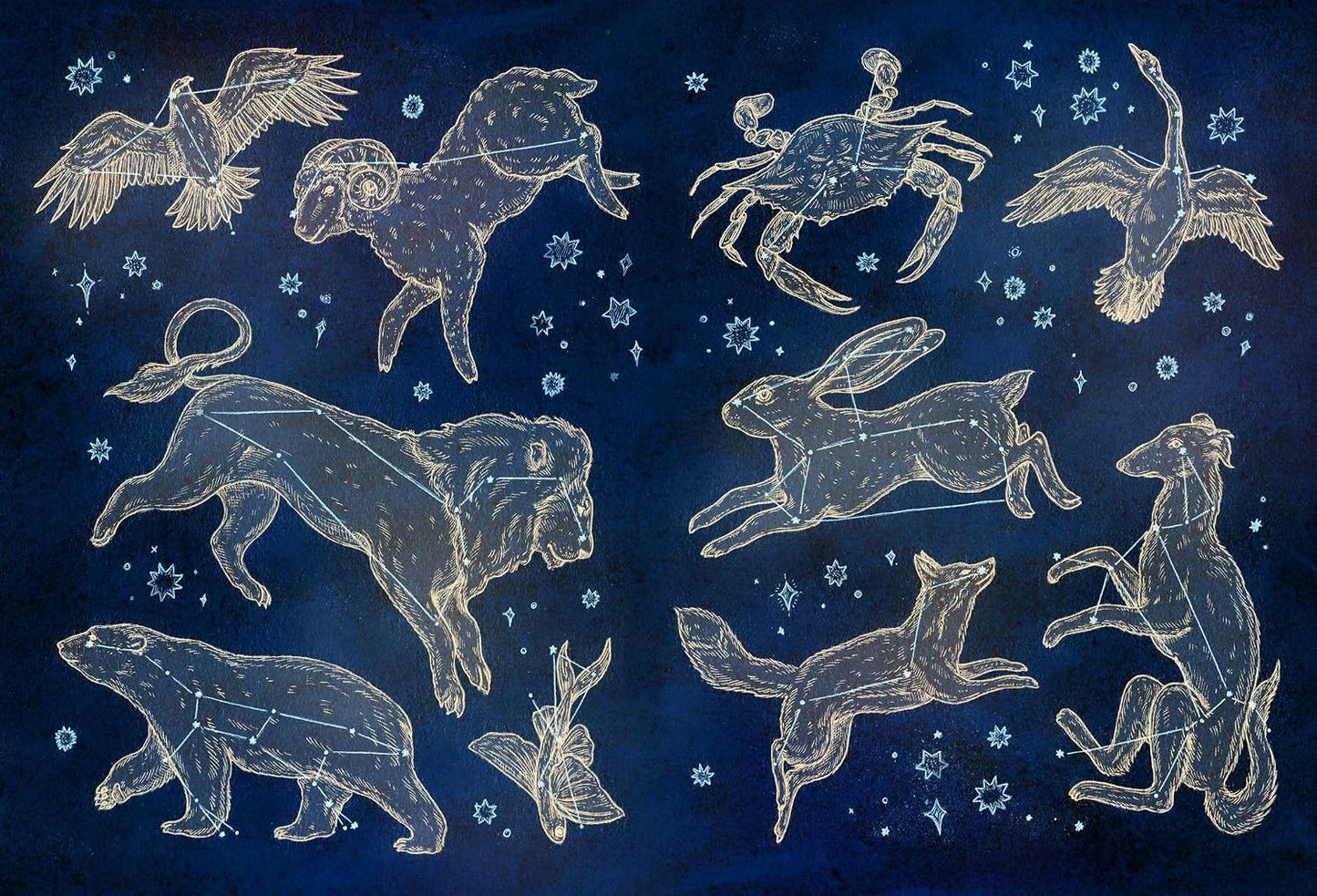 The Collector's Curio: A Sticker Treasury