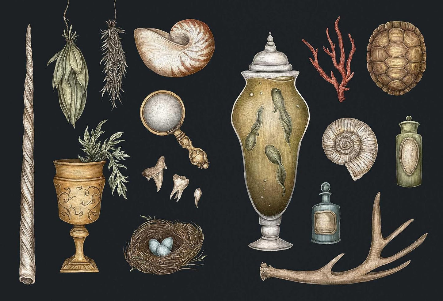 The Collector's Curio: A Sticker Treasury