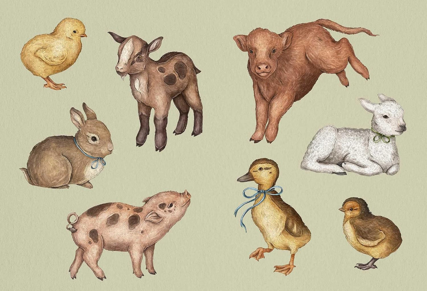 The Collector's Curio: A Sticker Treasury