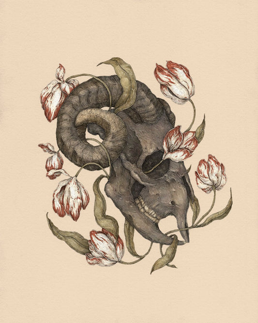 Jessica Roux: Breaking Rectifying