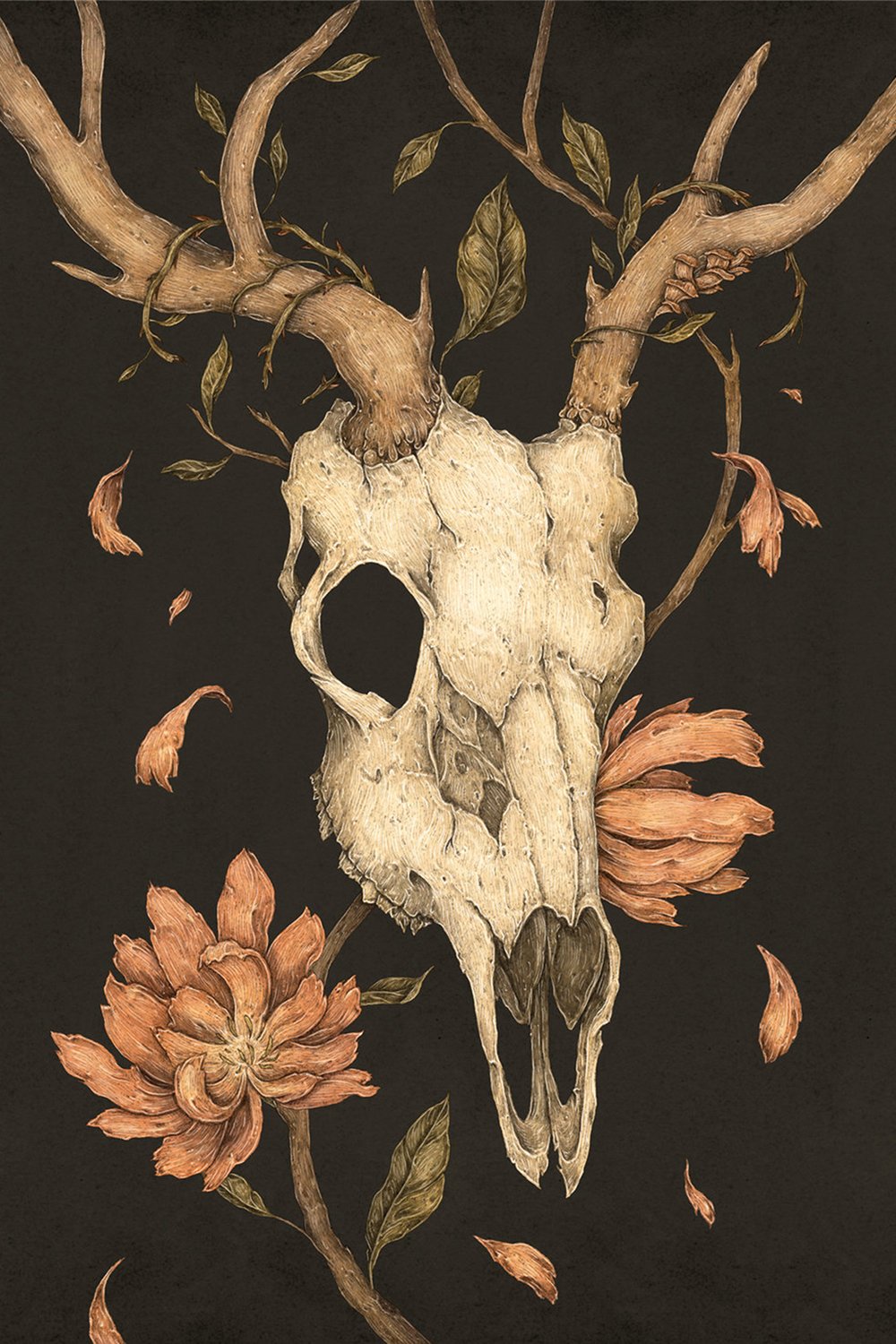 Jessica Roux: The Lost